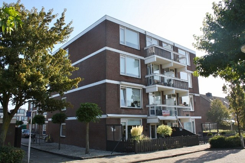 Braambos 3 , Noordwijkerhout