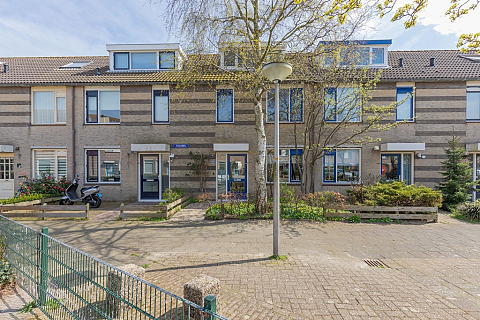 Westerhout 48 , Noordwijkerhout