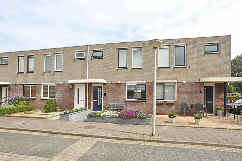 Stokroos 3 , Noordwijkerhout
