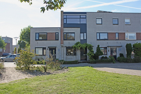 Astilbe 18 , Noordwijkerhout