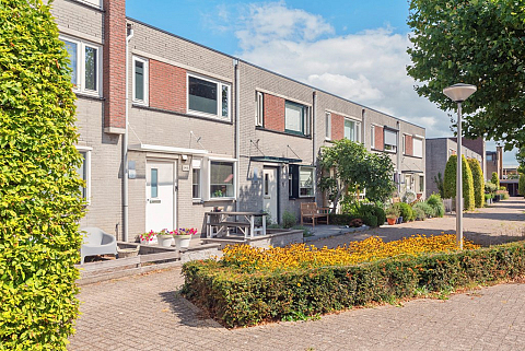 Hosta 3 , Noordwijkerhout