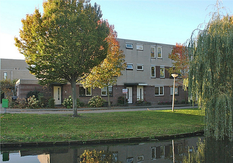 Stokroos 27 , Noordwijkerhout