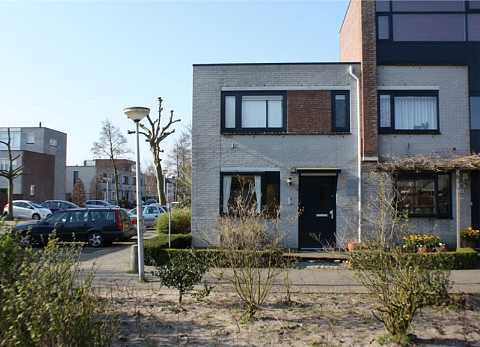 Astilbe 20 , Noordwijkerhout